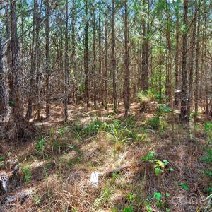 Photo #25 of Narrow Bridge, Chester, SC