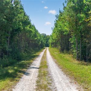 Photo #27 of Narrow Bridge, Chester, SC