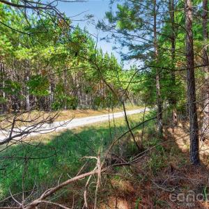 Photo #9 of Narrow Bridge, Chester, SC