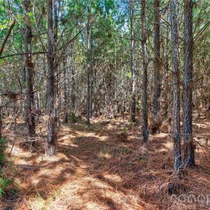 Photo #13 of Narrow Bridge, Chester, SC