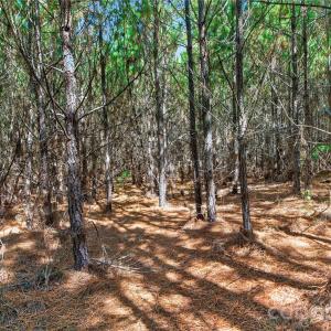 Photo #24 of Narrow Bridge, Chester, SC