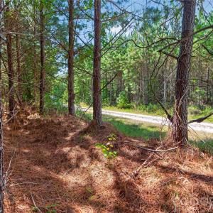 Photo #12 of Narrow Bridge, Chester, SC
