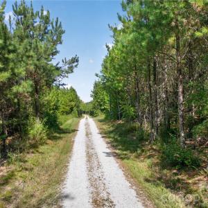 Photo #21 of Narrow Bridge, Chester, SC