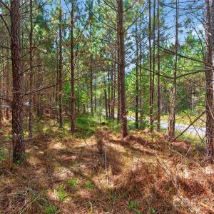 Photo #26 of Narrow Bridge, Chester, SC