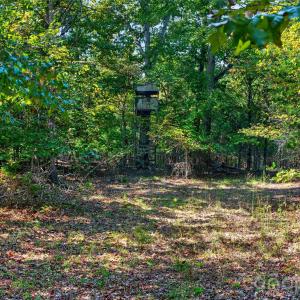 Photo #26 of 2 Pittman, Rock Hill, SC