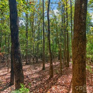 Photo #28 of 2 Pittman, Rock Hill, SC