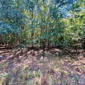 Photo #1 of Lot 167 Brangus, Cheraw, SC