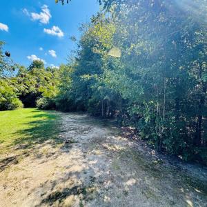 Photo #6 of Lot 166 Brangus, Cheraw, SC