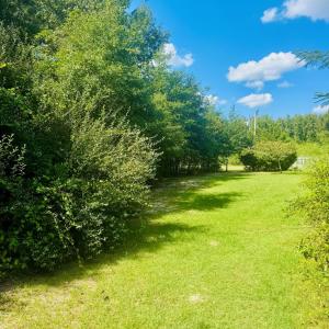 Photo #7 of Lot 166 Brangus, Cheraw, SC