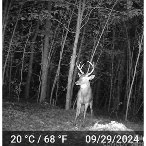 Photo #6 of 4079 Jefferson Davis, Bethune, SC