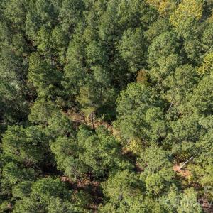 Photo #16 of Laurel Knoll, Landrum, SC