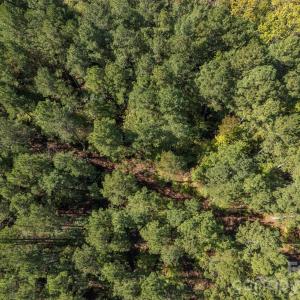 Photo #17 of Laurel Knoll, Landrum, SC