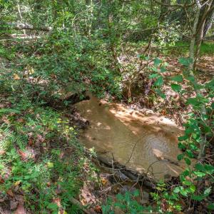 Photo #13 of Laurel Knoll, Landrum, SC