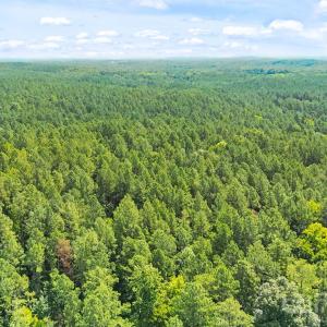 Photo #11 of Blanton, Sharon, SC