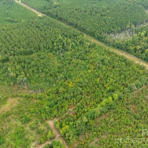 Photo #4 of McDuffie, Cheraw, SC