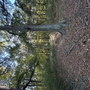 Photo #3 of Beacon, Lancaster, SC