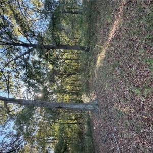 Photo #2 of Beacon, Lancaster, SC