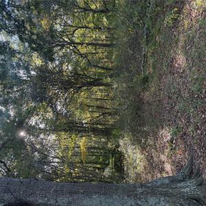 Photo #7 of Beacon, Lancaster, SC