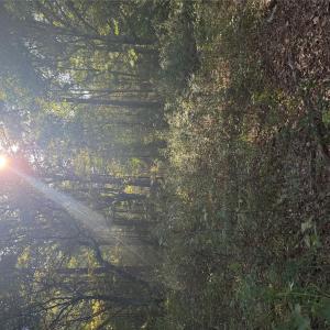 Photo #6 of Beacon, Lancaster, SC
