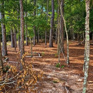 Photo #2 of TBD/Land LOT B Beaker, Heath Springs, SC