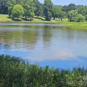 Photo #3 of Deer Tract, Lancaster, SC