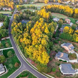 Photo #18 of Seay, Advance, NC