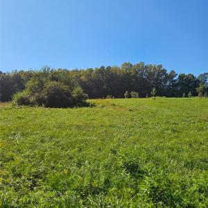 Photo #11 of Cloud Top, Mooresville, NC