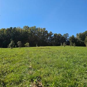 Photo #9 of Cloud Top, Mooresville, NC