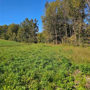 Photo #15 of Cloud Top, Mooresville, NC