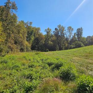 Photo #6 of Cloud Top, Mooresville, NC