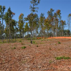 Photo #19 of 31 Reserve, New London, NC