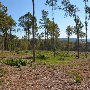 Photo #13 of 31 Reserve, New London, NC