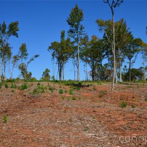 Photo #18 of 31 Reserve, New London, NC
