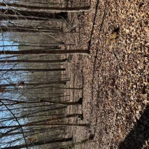 Photo #1 of Vintage, Lilesville, NC