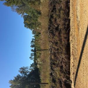 Photo #4 of TBD Rock House, Mount Croghan, SC