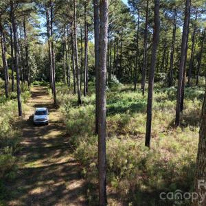 Photo #32 of 393 Red Hill, Wadesboro, NC