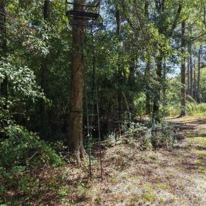 Photo #42 of 393 Red Hill, Wadesboro, NC