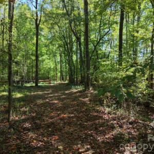 Photo #39 of 393 Red Hill, Wadesboro, NC