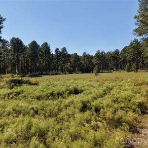 Photo #31 of 393 Red Hill, Wadesboro, NC