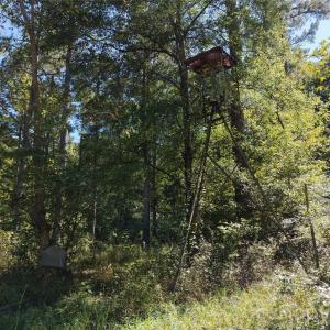 Photo #40 of 393 Red Hill, Wadesboro, NC