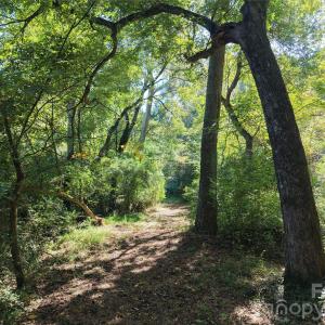 Photo #27 of 393 Red Hill, Wadesboro, NC