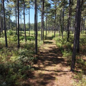 Photo #30 of 393 Red Hill, Wadesboro, NC
