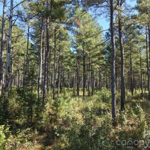 Photo #5 of 393 Red Hill, Wadesboro, NC