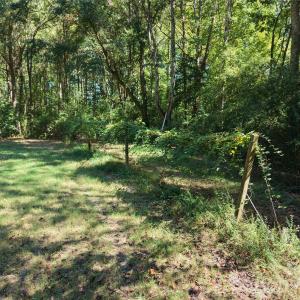 Photo #38 of 393 Red Hill, Wadesboro, NC