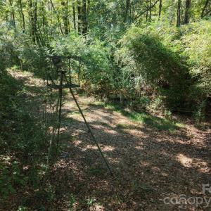 Photo #28 of 393 Red Hill, Wadesboro, NC