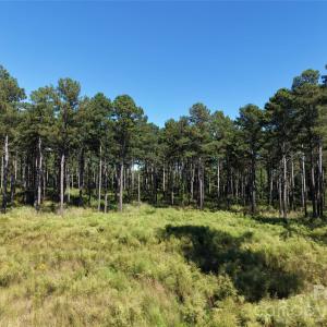 Photo #34 of 393 Red Hill, Wadesboro, NC