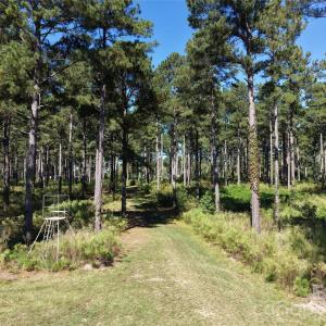Photo #33 of 393 Red Hill, Wadesboro, NC