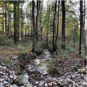 Photo #4 of 6716 Valley Woods, Cary, NC