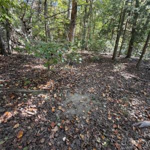Photo #11 of Lot 2 Ramah Church, York, SC