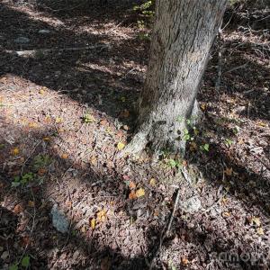 Photo #10 of Lot 2 Ramah Church, York, SC